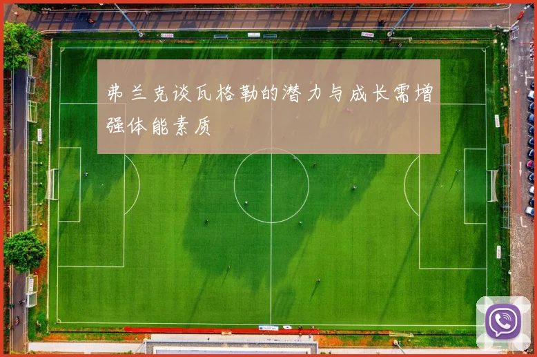 弗兰克谈瓦格勒的潜力与成长需增强体能素质