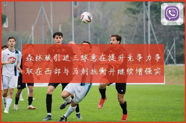 森林狼引进三球意在提升竞争力争取在西部与马刺抗衡并继续增强实力