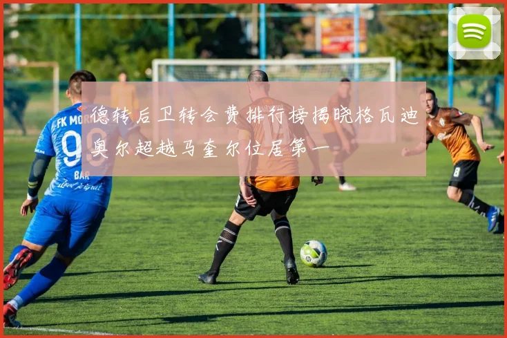 德转后卫转会费排行榜揭晓格瓦迪奥尔超越马奎尔位居第一